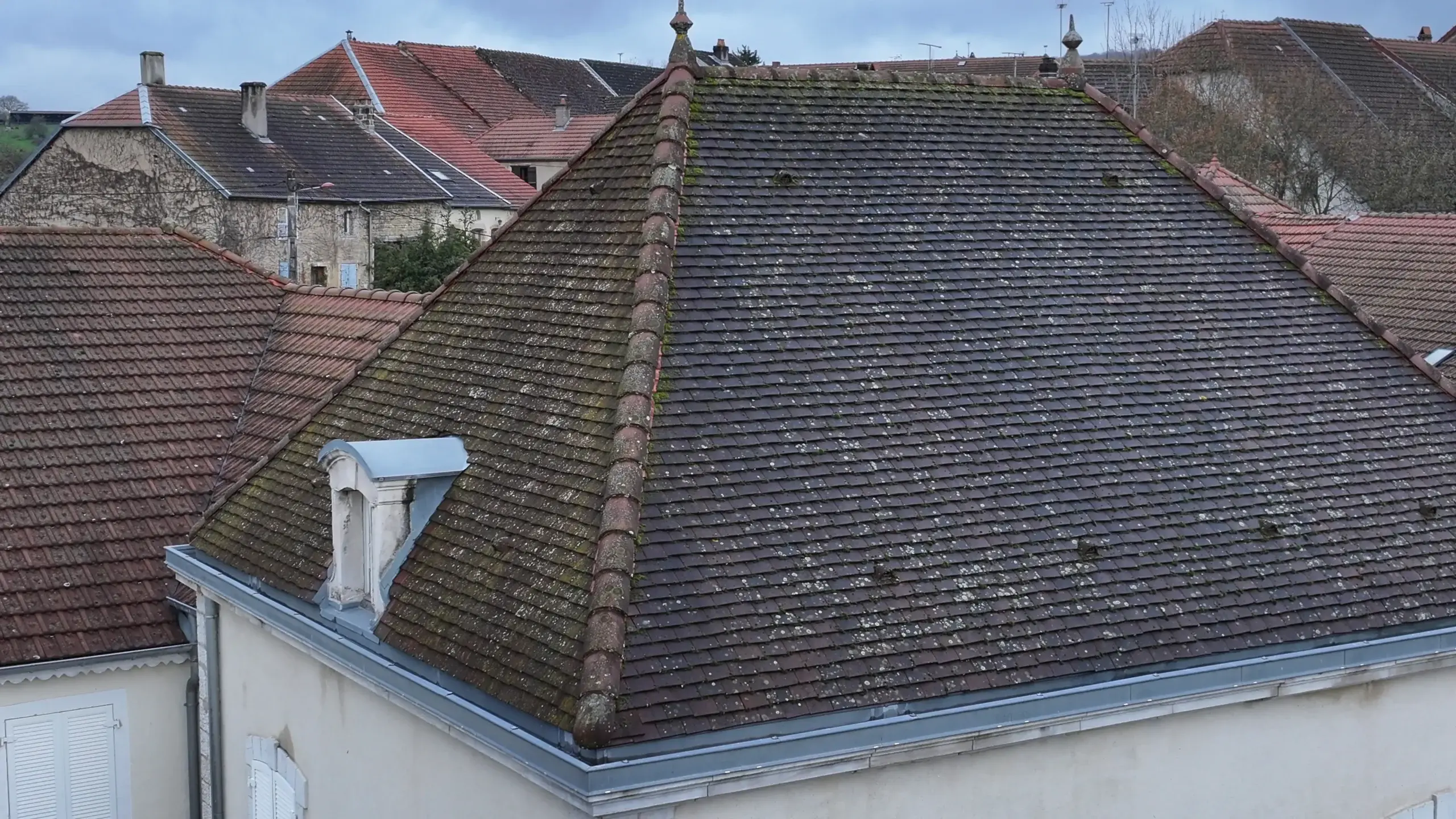 Demoussage par drone à52500 CHAMPSEVRAINE champsevraine